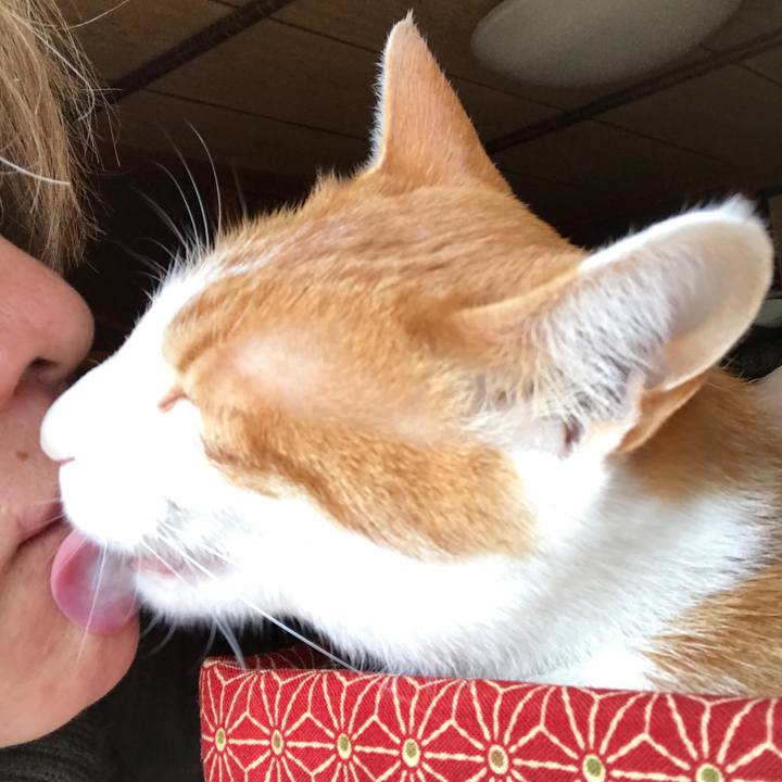 B23be370 9f39 494a 9d61 cc744ee5fd41