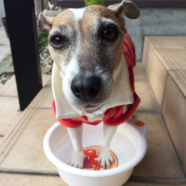 B23be4a0 4c0d 453e 9b55 71e7551ff977