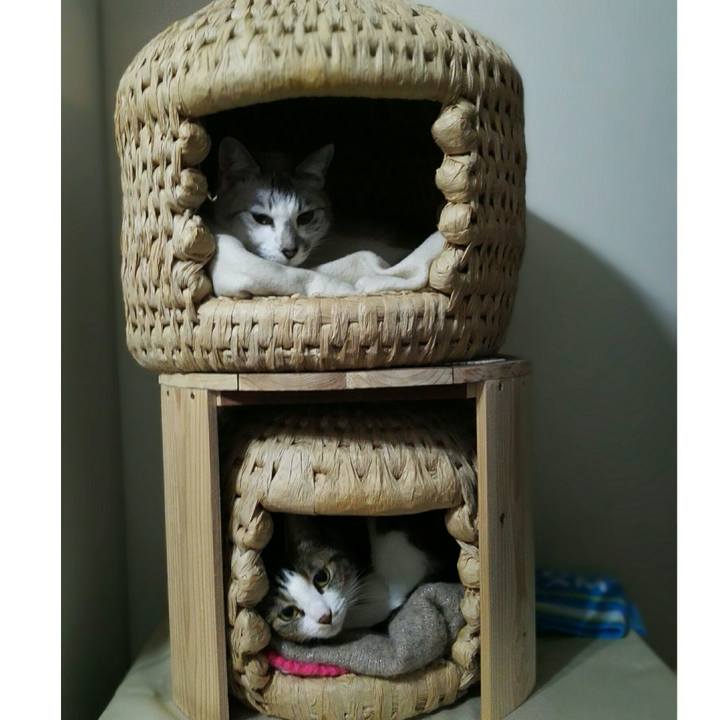 B23befd7 a3a5 4e77 9739 78686c91f35f