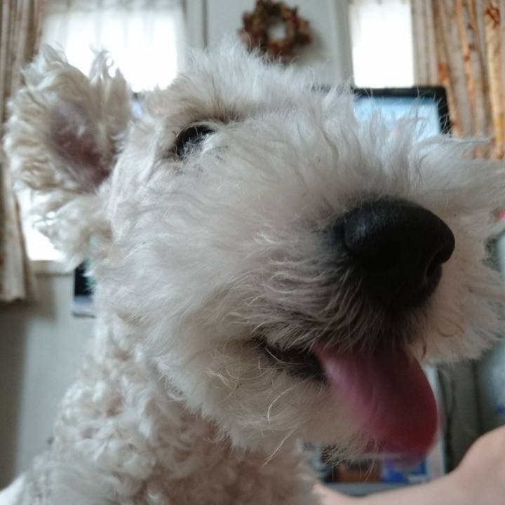 B23c0eb5 964b 45e3 8586 adda004e01a9