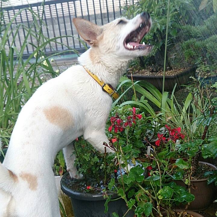 B23c2eb6 5dae 4d58 a6a2 34574b5b09e7