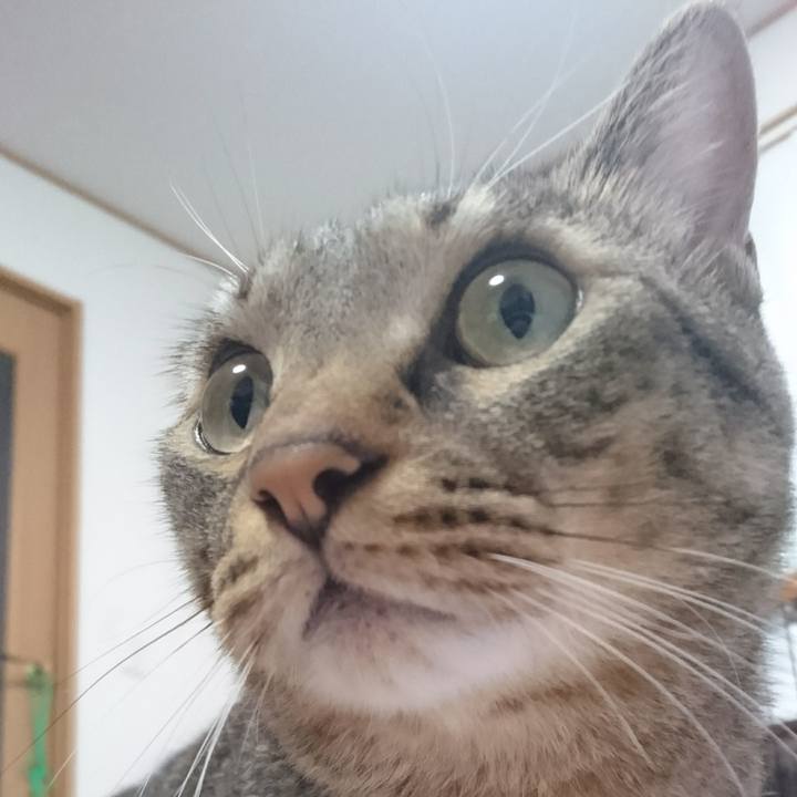 B23c6a63 9097 4fbc 967a e8c21e437957