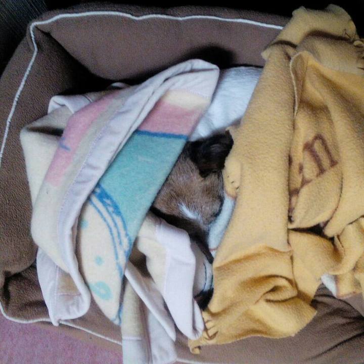 B23c6e9e 78a1 4045 ac14 1af2a4af4d14