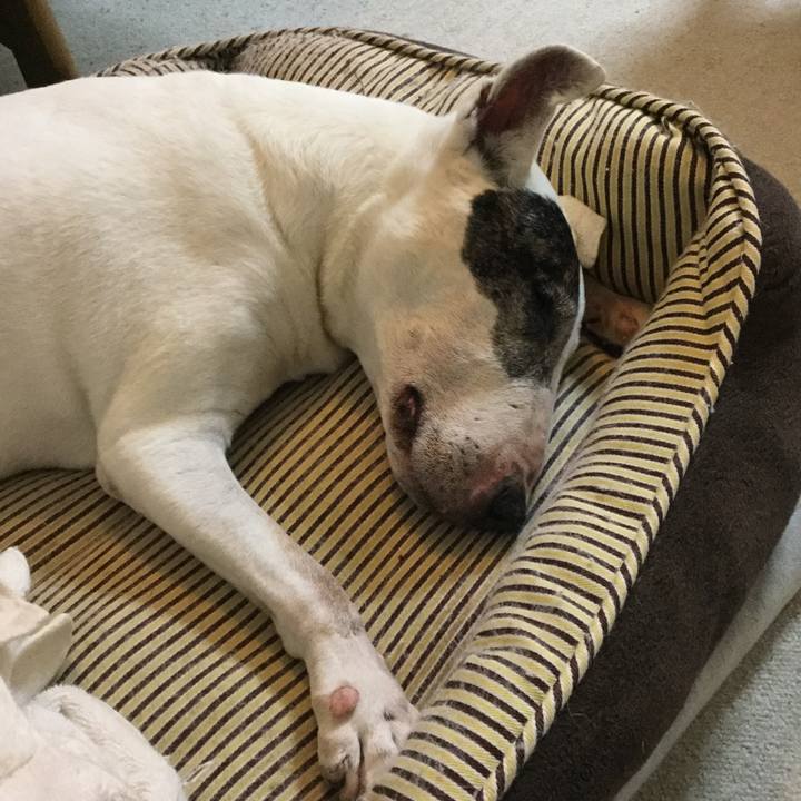 B23d3c9c 9250 4c91 a8c3 ce76462b2430