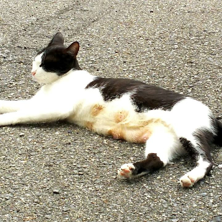 B23d8eb8 0ef9 4638 bf90 887ebd765152