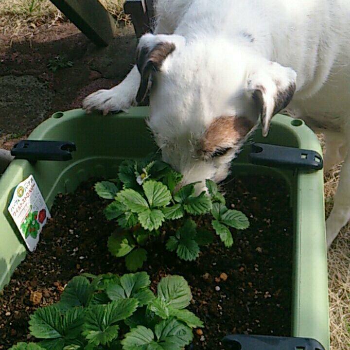 B23f0131 8fc2 4d48 a226 bea3ad3789ba