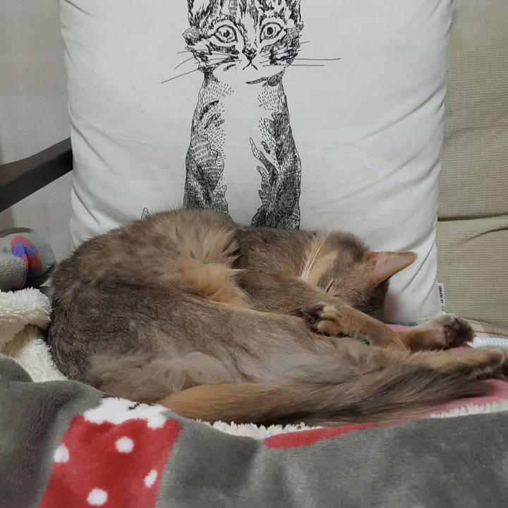 B23f52cd 89c5 4ecb 9d4b 22bf1684c8a9