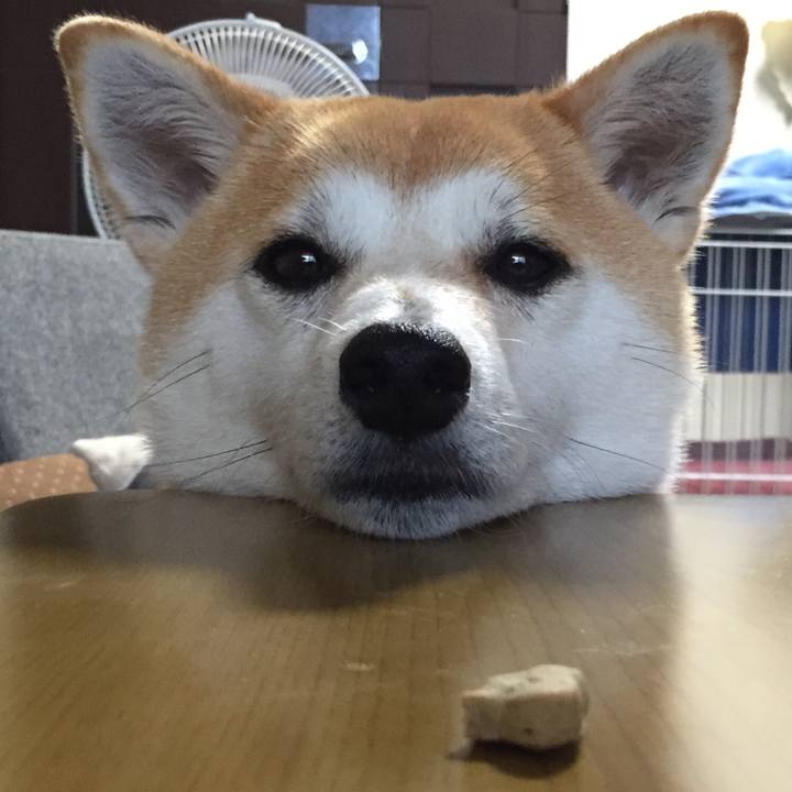 B23fb412 9710 412b 9ba6 37c5cf00b831