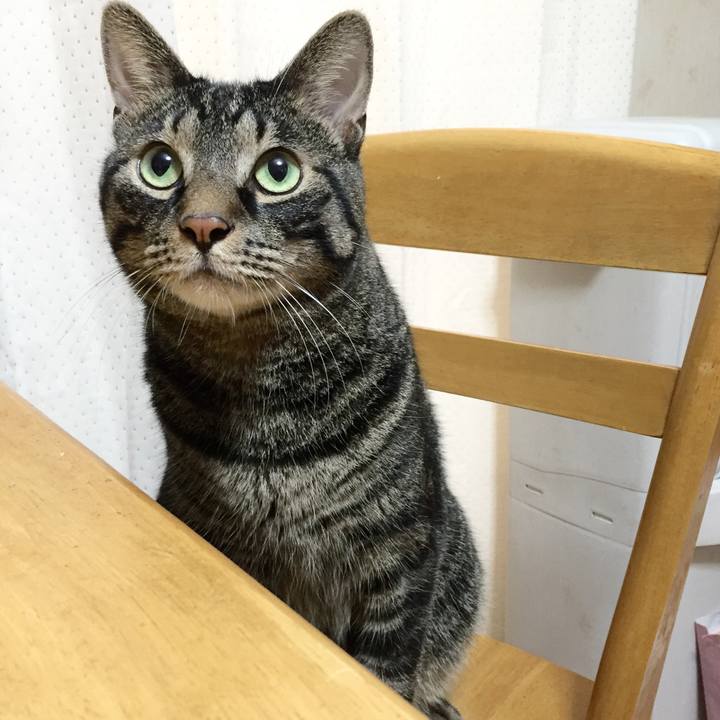 B23feb9d ea15 4fb6 8a8f 2d6e63750bf9