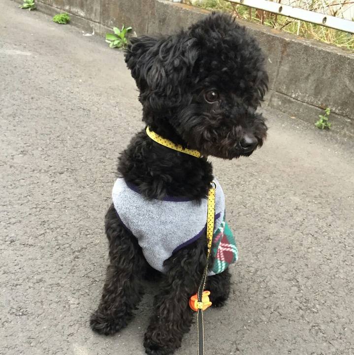 B23ff11f fd08 46c5 821d bb2f50707bc4