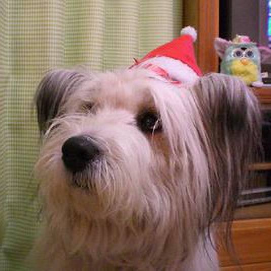 B240350d afbc 46c8 b5eb 932ea6ecb3ac