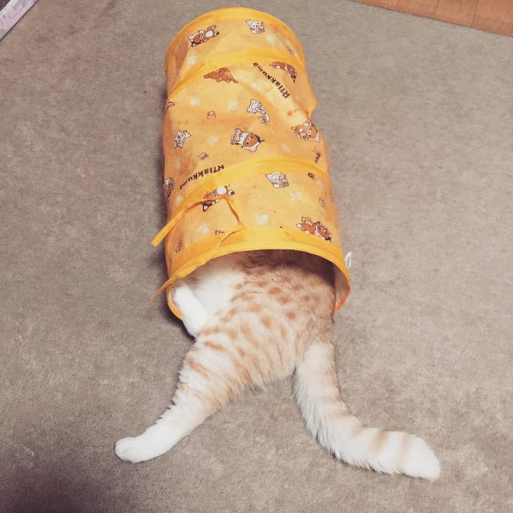 B2406ab1 bfc4 408b b1c3 31ee55a7ec1a