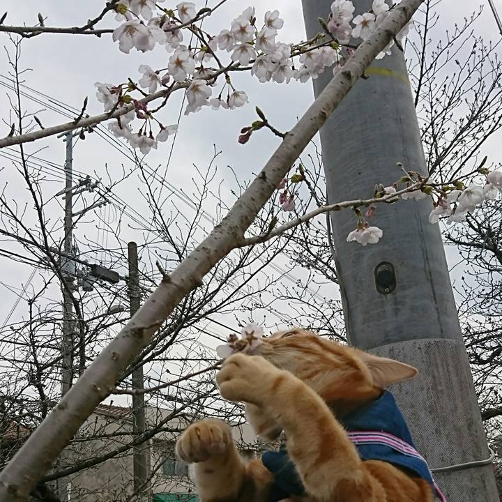 B240b02d 2076 4996 9a7e 7ff84f4eadb8