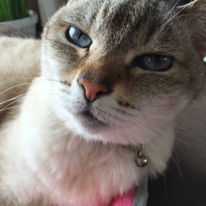 B240dd6d 081f 4e9e 98b7 6cefe2ee8feb