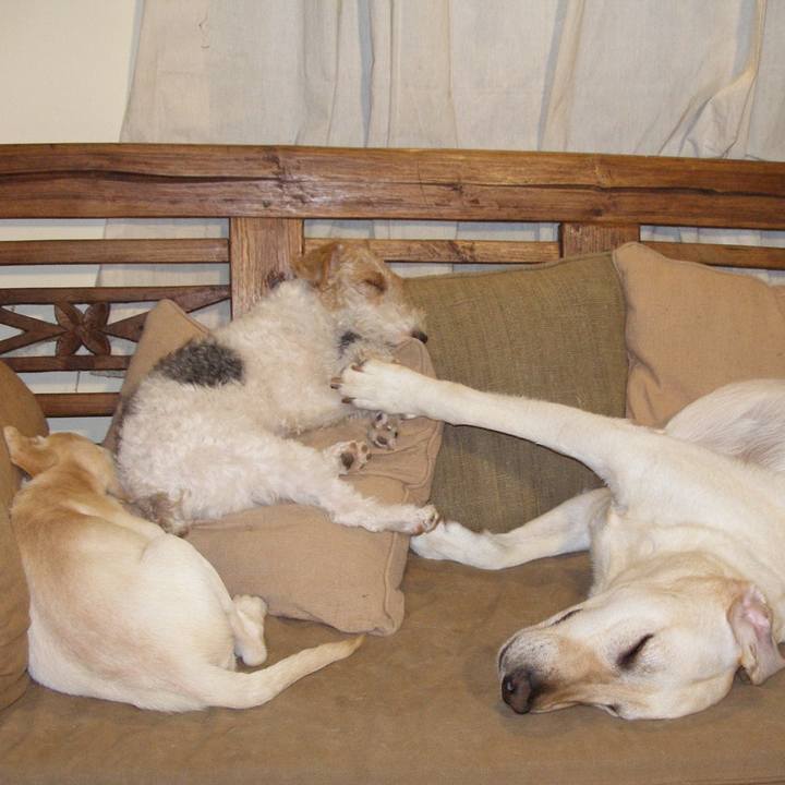 B2411633 23a3 42d7 be47 4f2ffa5d044a