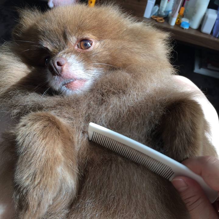 B241d036 110b 4b92 b18a 36b853278532