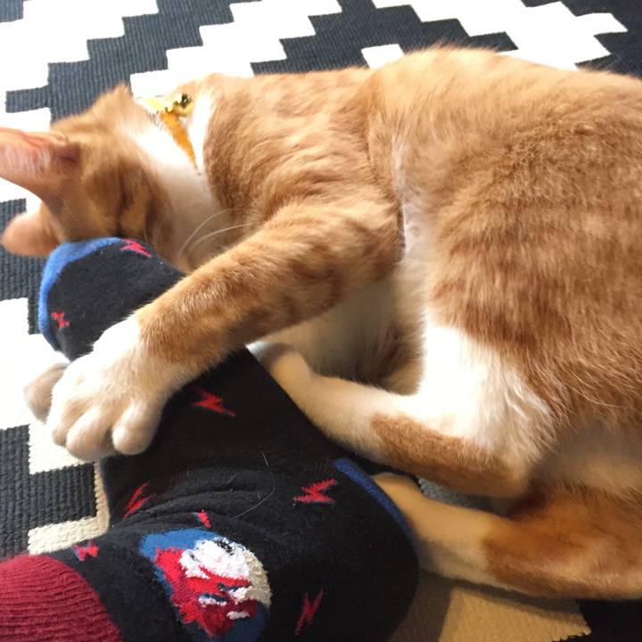 B24250db 2201 4498 ac05 d4ee132d4812