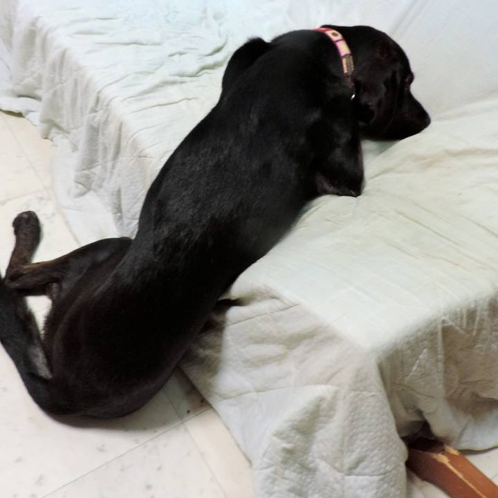 B2427045 26c1 4c03 aa73 06cfa701ac97