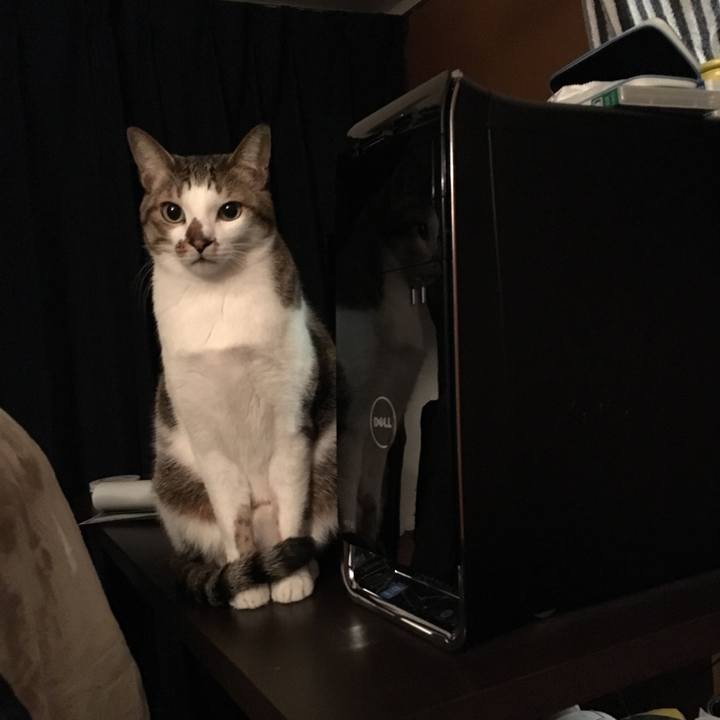 B24294dd dd23 4864 aa7d 4820cc2a0ecf