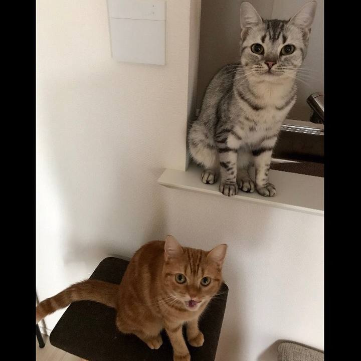 B2429940 f81d 48c0 b6c9 3a9991ef24de