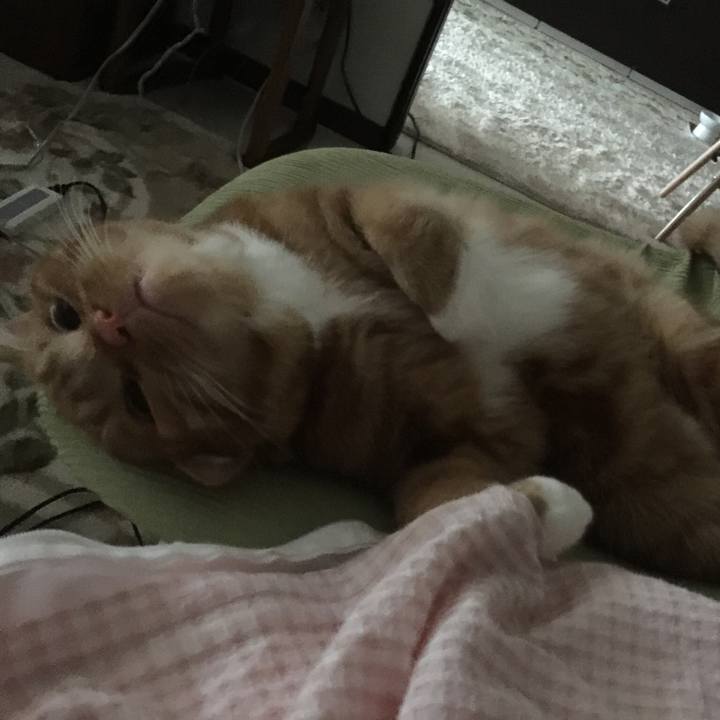 B242bdad 1c04 43c8 83ed ad69f76aa59a