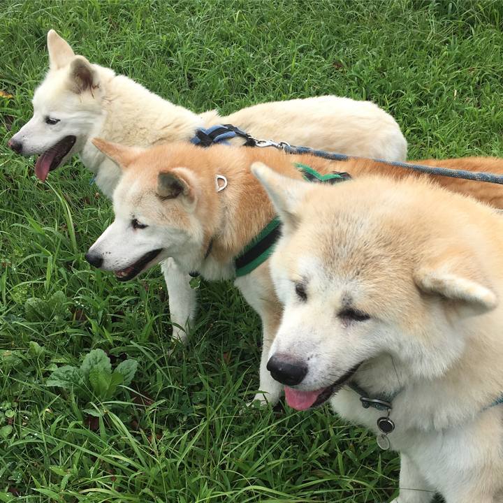 B2430465 da12 4b88 a54c 19568c2833f1