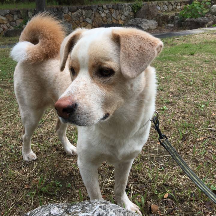 B243215f 6b7e 488b bf67 bb69dae887a1