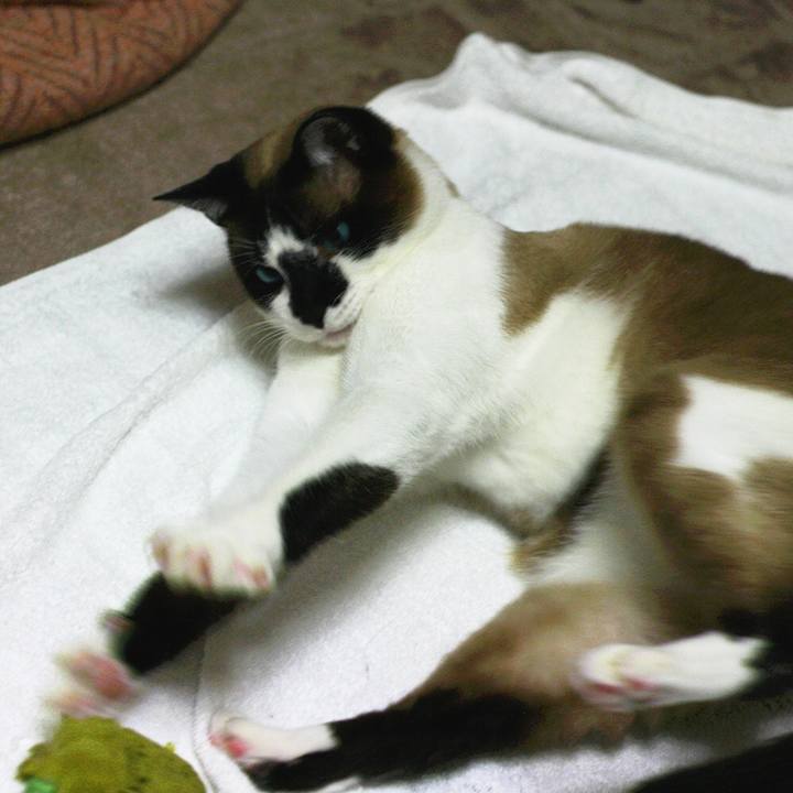 B244a721 a6e2 4513 9459 18ad412afbde