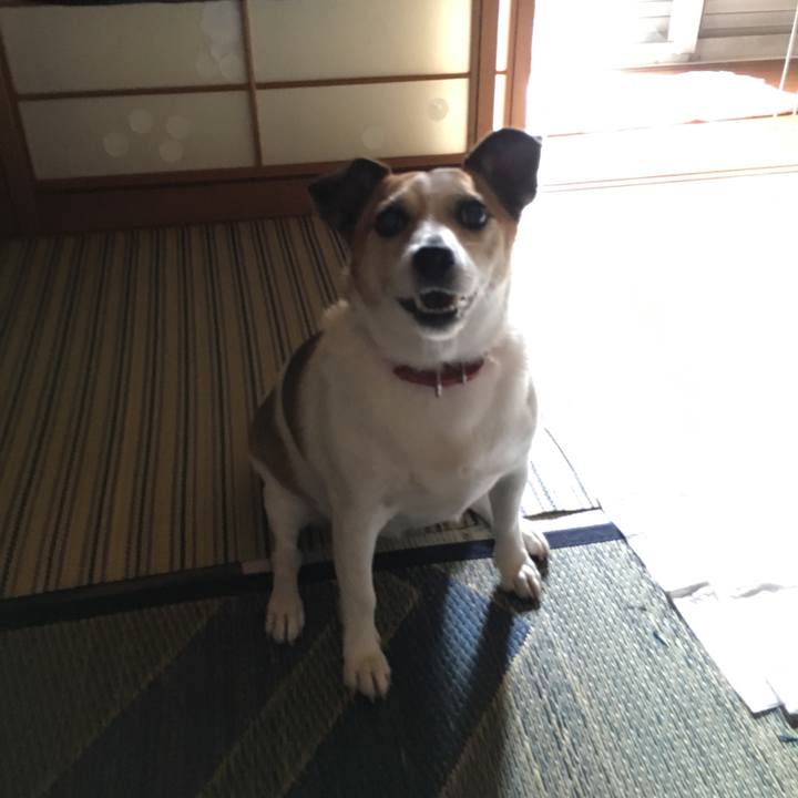 B244b983 b37e 414c 9405 a16236cf18d0