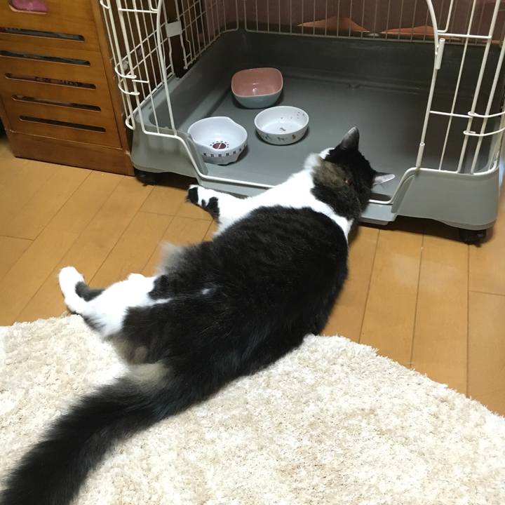 B244d193 053e 4088 b7ff 02ebb3e0931d