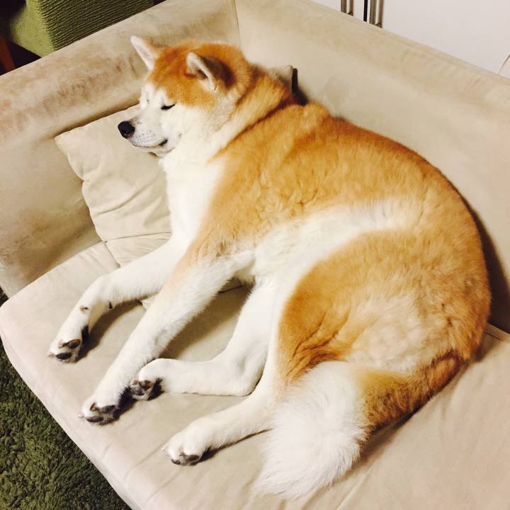 B244ed00 52f6 4f75 8089 71c8d6152c6b