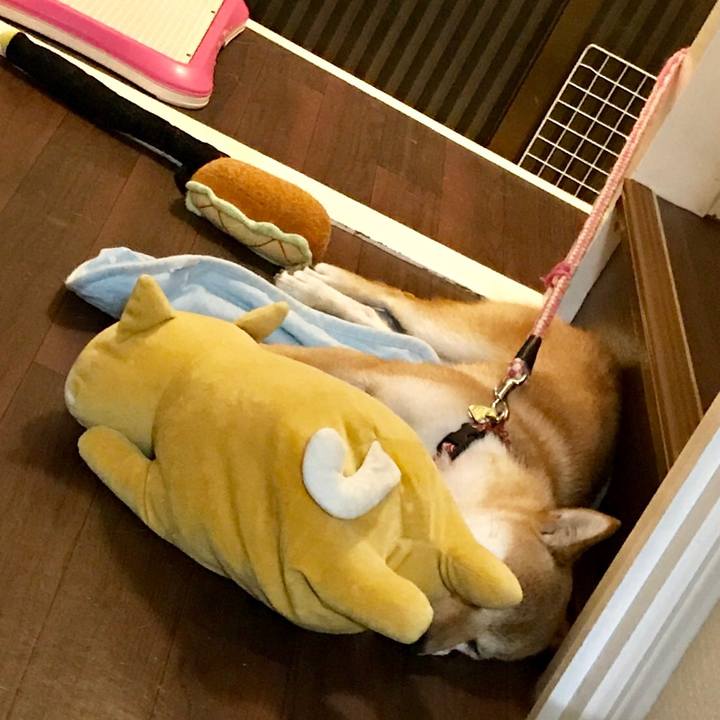 B245365d 0344 477f 9e43 42183669ac25