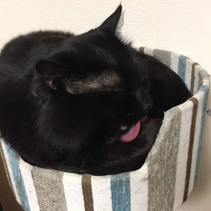 B2461184 5fea 4f6f b3ce 125e2f0b640e