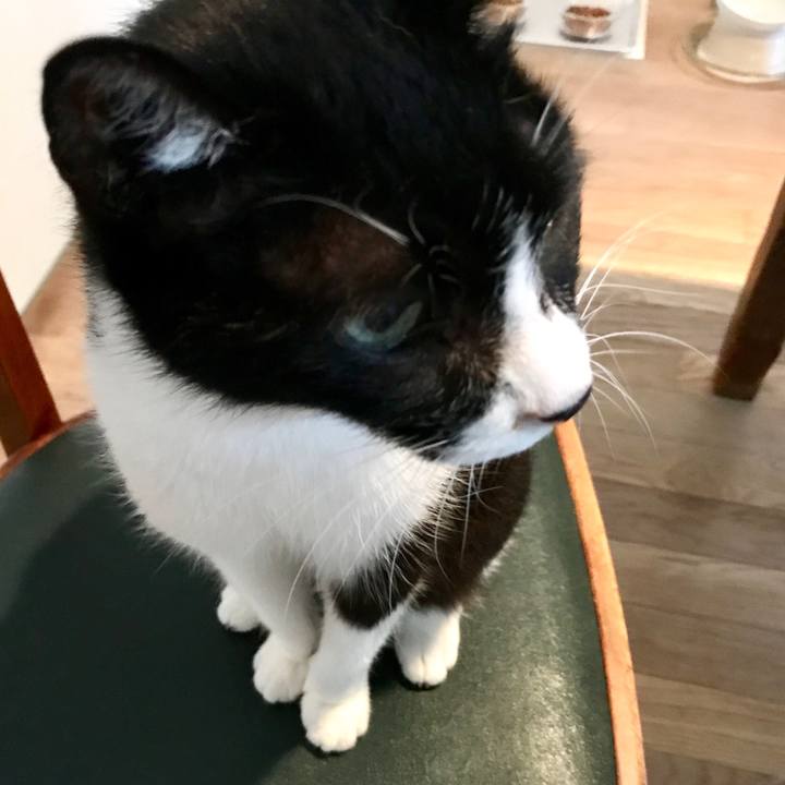 B24663c4 3ebc 4bea 806a 4bbe5495fbe8