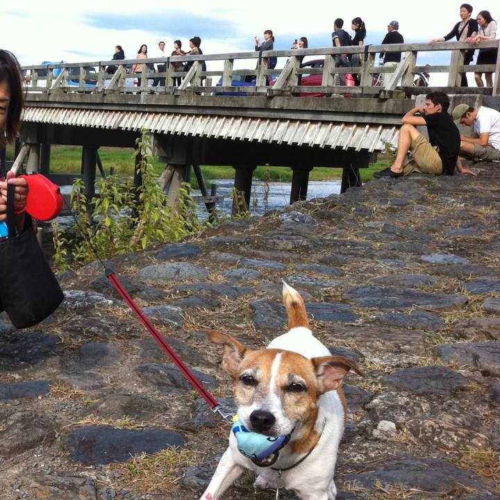 B2467b2a 74da 4454 8e0a b48c37819010