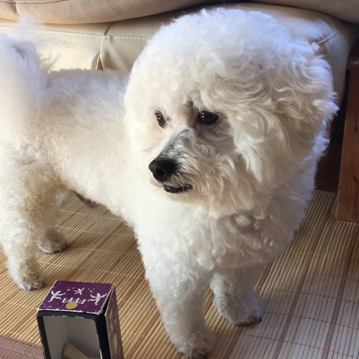 B246a0f6 adcb 4f91 b6f8 54ab53aa64d5