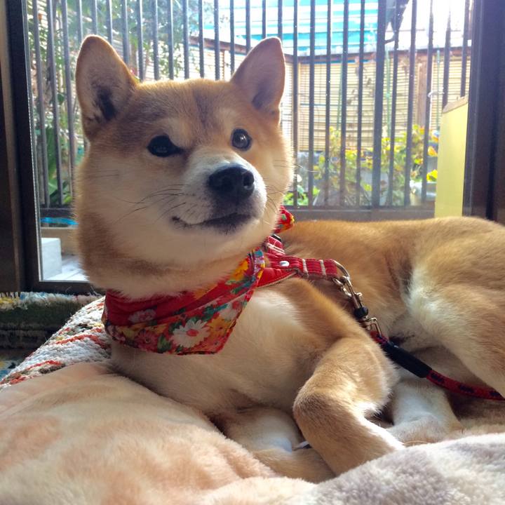 B246bffb 67e6 4cb8 9e5a afa9e540ed3c