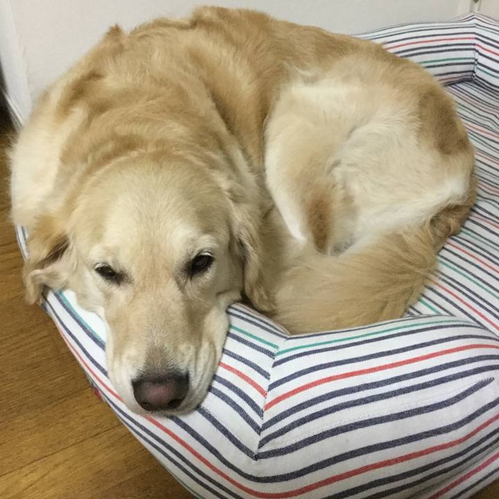 B247d738 3c9a 42ac 8cc3 7a04fe91204e