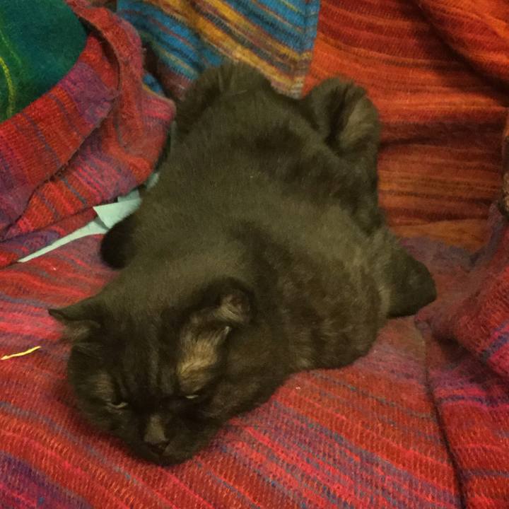 B2481b89 5ae6 4a1c ac2c c42d88dedd55