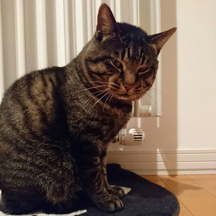 B2483c45 4916 44a4 b595 b913aecb499d