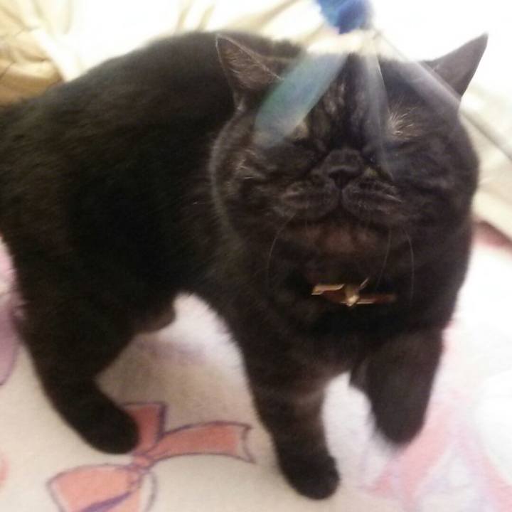 B248e138 4971 44fe 86ee 0489c2d2457d