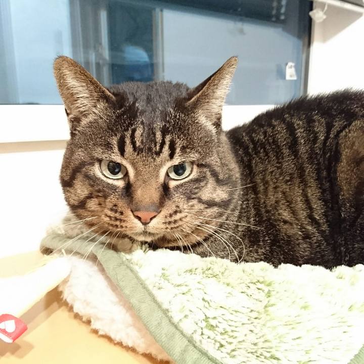 B2494ec3 4bdc 48a1 b8f8 2be94fa1098c