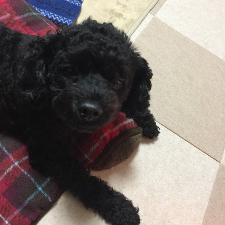 B24b28c1 d0fb 492f 9d6b 4186c84a08e4