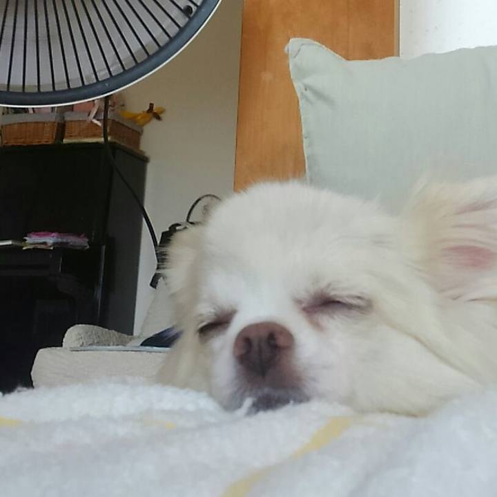 B24d03af 1918 4f2d 99bd 49a1c331f8c9