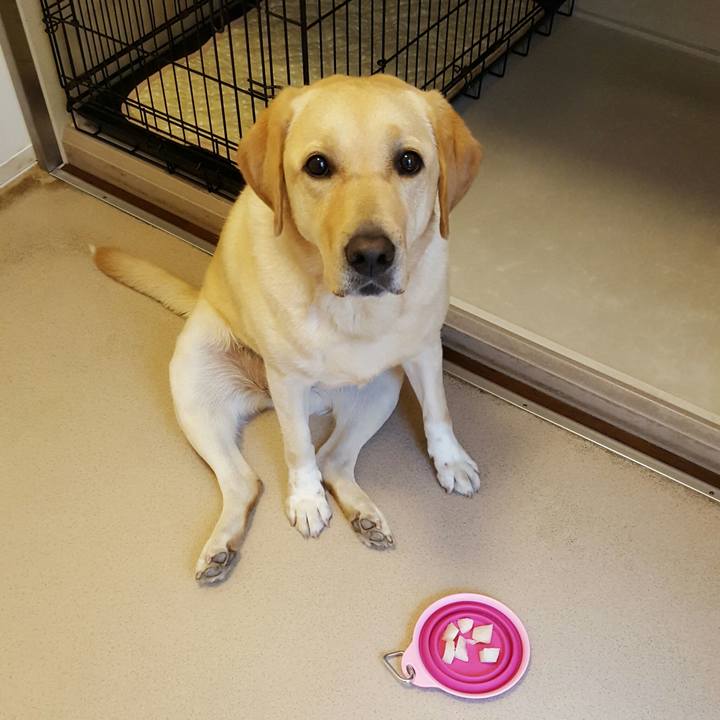 B24d0ff3 be15 4284 8f53 ae628402f6ca