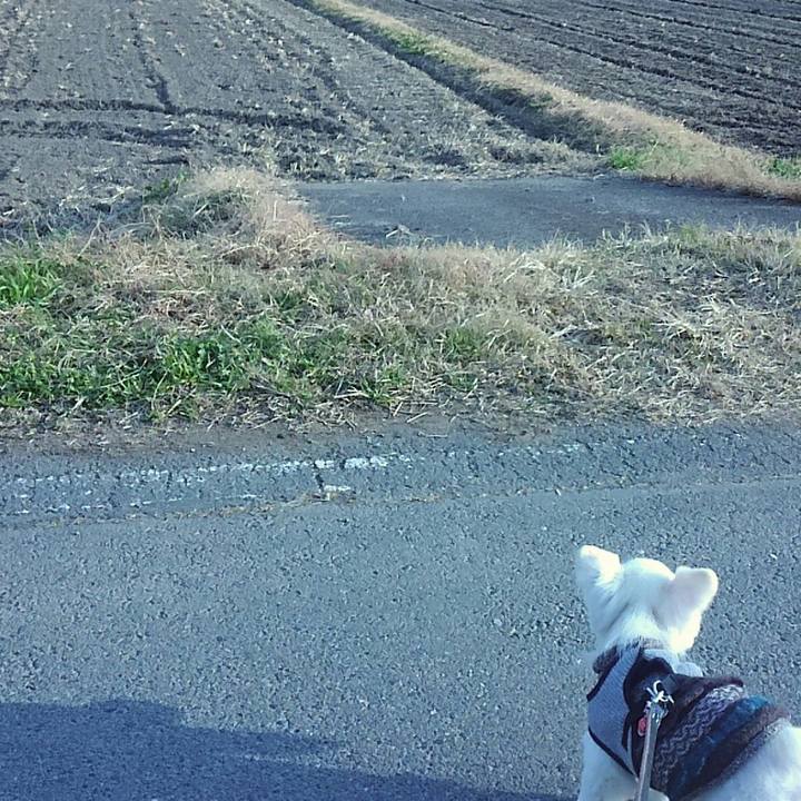 B24e2693 e0cf 4466 9c25 8aeadbae574a