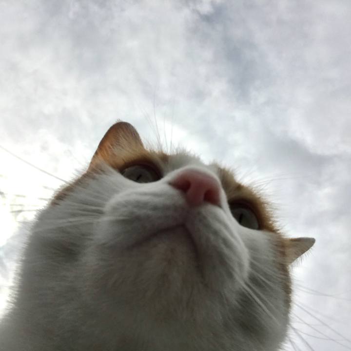 B24e99ac a6b0 428c 8966 02657d50cc92