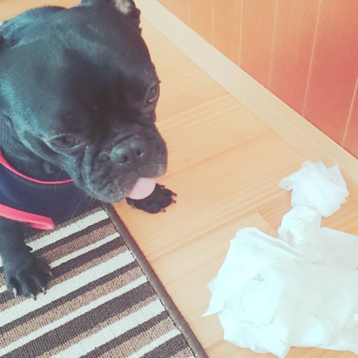 B24fe5c8 5ff7 4496 93d8 6b150d16d18d