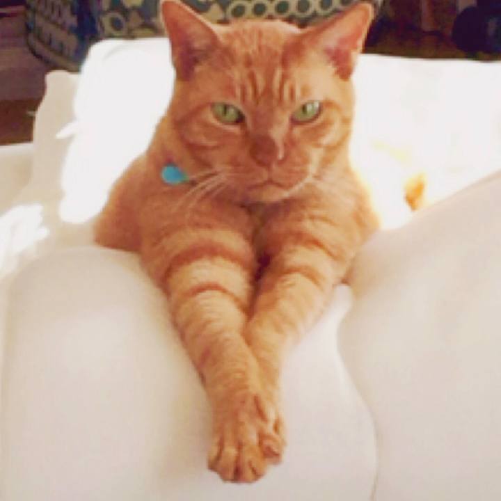 B24ff6cf 082b 48bd 86fd 5ea65e75a601