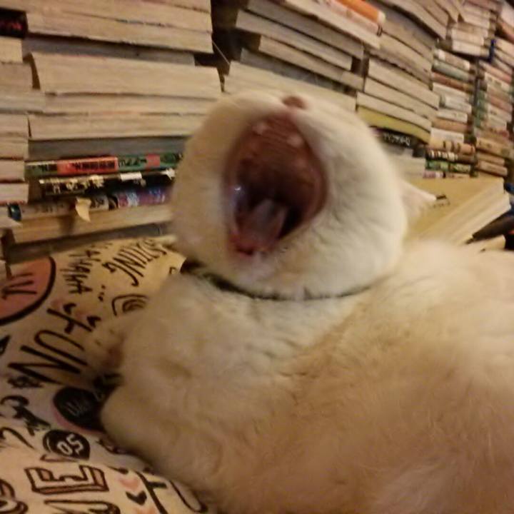 B2509e5d d4de 40cf 9ee0 cbced485be0f